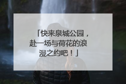快来泉城公园，赴一场与荷花的浪漫之约吧！