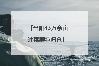 当阳43万余亩油菜颗粒归仓