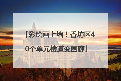 彩绘画上墙！香坊区40个单元楼道变画廊