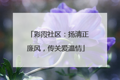彩霞社区：扬清正廉风，传关爱温情