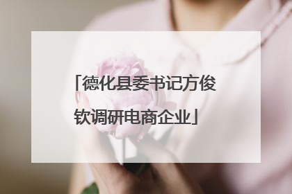 德化县委书记方俊钦调研电商企业