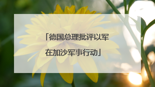 德国总理批评以军在加沙军事行动