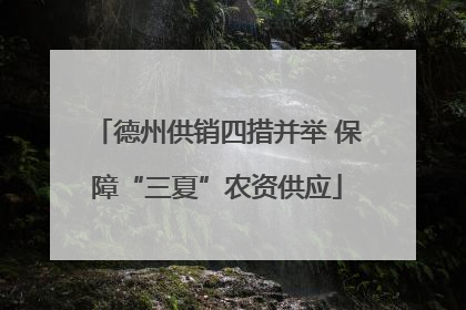 德州供销四措并举 保障“三夏”农资供应