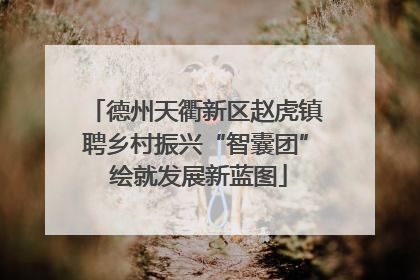 德州天衢新区赵虎镇聘乡村振兴“智囊团” 绘就发展新蓝图