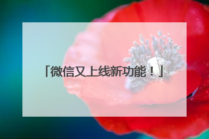 微信又上线新功能！