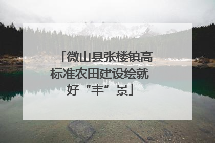 微山县张楼镇高标准农田建设绘就好“丰”景