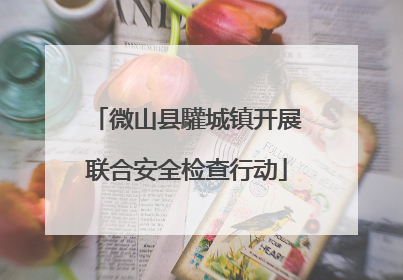 微山县驩城镇开展联合安全检查行动