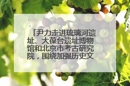 尹力走进琉璃河遗址、大葆台遗址博物馆和北京市考古研究院，围绕加强历史文化名城保护调研
