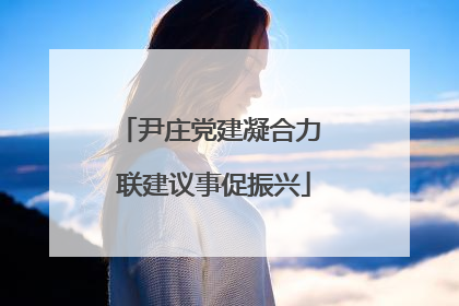 尹庄党建凝合力 联建议事促振兴