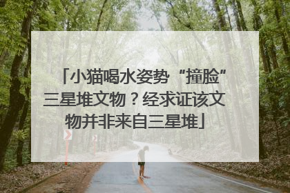 小猫喝水姿势“撞脸”三星堆文物？经求证该文物并非来自三星堆