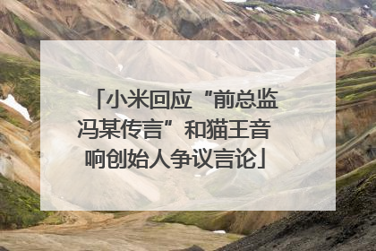 小米回应“前总监冯某传言”和猫王音响创始人争议言论