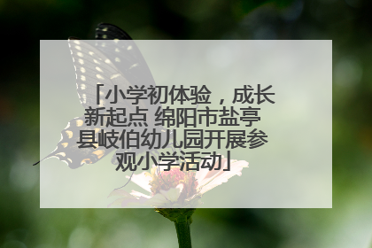 小学初体验，成长新起点 绵阳市盐亭县岐伯幼儿园开展参观小学活动