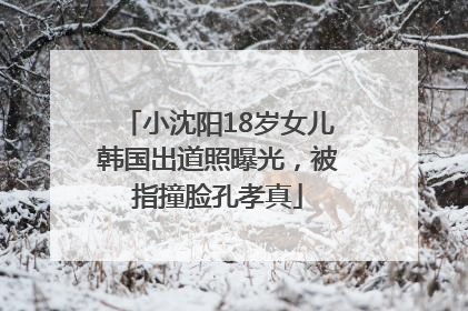 小沈阳18岁女儿韩国出道照曝光，被指撞脸孔孝真