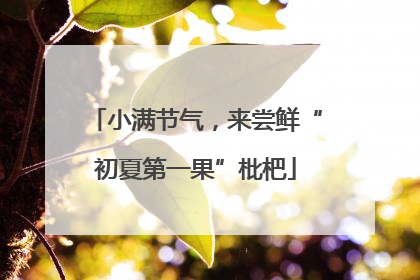 小满节气，来尝鲜“初夏第一果”枇杷