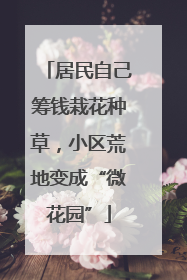 居民自己筹钱栽花种草，小区荒地变成“微花园”