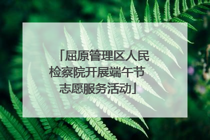 屈原管理区人民检察院开展端午节志愿服务活动