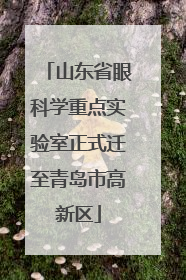 山东省眼科学重点实验室正式迁至青岛市高新区