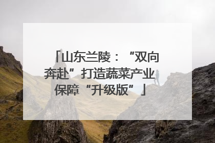 山东兰陵：“双向奔赴”打造蔬菜产业保障“升级版”
