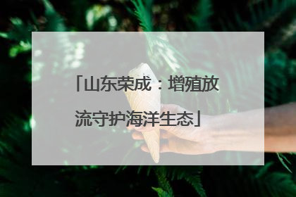 山东荣成：增殖放流守护海洋生态