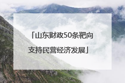 山东财政50条靶向支持民营经济发展
