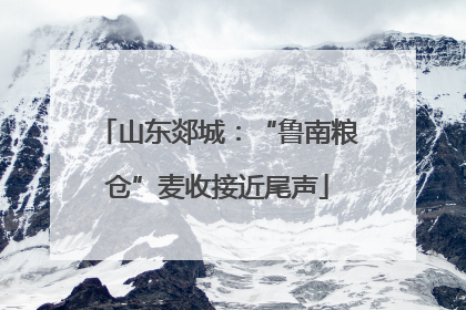 山东郯城：“鲁南粮仓”麦收接近尾声