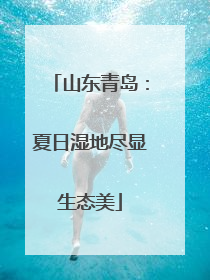 山东青岛：夏日湿地尽显生态美