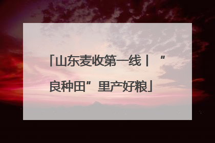 山东麦收第一线丨“良种田”里产好粮