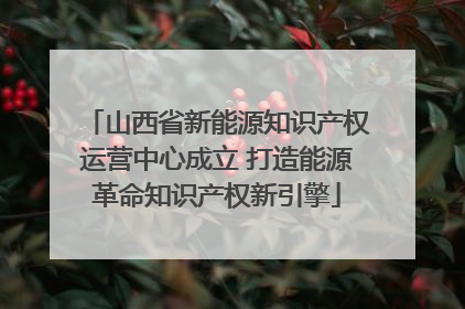 山西省新能源知识产权运营中心成立 打造能源革命知识产权新引擎