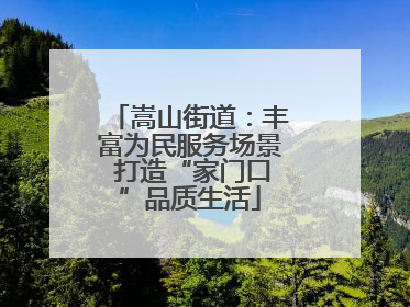 嵩山街道：丰富为民服务场景 打造“家门口”品质生活