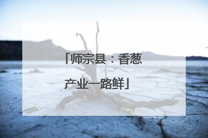 师宗县：香葱产业一路鲜