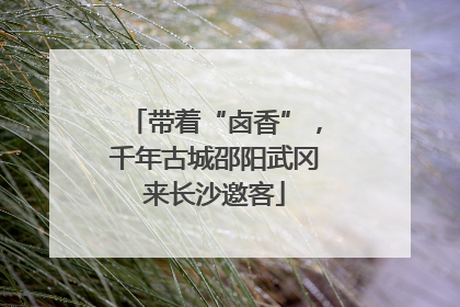 带着“卤香”，千年古城邵阳武冈来长沙邀客