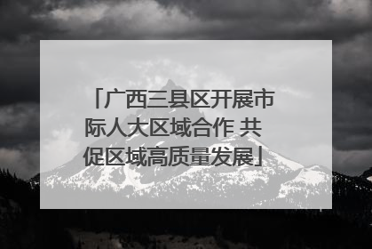 广西三县区开展市际人大区域合作 共促区域高质量发展