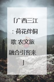 广西三江：荷花伴侗歌 农文旅融合引客来