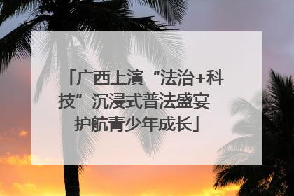 广西上演“法治+科技”沉浸式普法盛宴 护航青少年成长