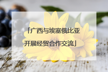 广西与埃塞俄比亚开展经贸合作交流