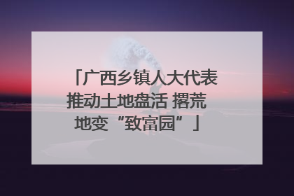 广西乡镇人大代表推动土地盘活 撂荒地变“致富园”