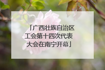 广西壮族自治区工会第十四次代表大会在南宁开幕