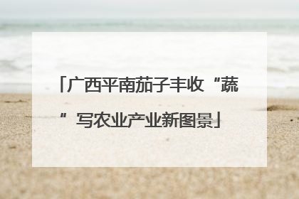 广西平南茄子丰收“蔬”写农业产业新图景
