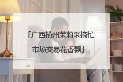 广西横州茉莉采摘忙 市场交易花香飘