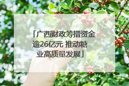 广西财政筹措资金逾26亿元 推动糖业高质量发展