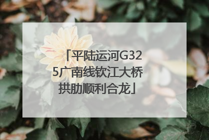平陆运河G325广南线钦江大桥拱肋顺利合龙
