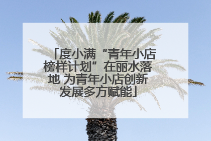 度小满“青年小店榜样计划”在丽水落地 为青年小店创新发展多方赋能