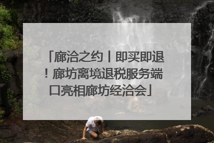廊洽之约丨即买即退！廊坊离境退税服务端口亮相廊坊经洽会