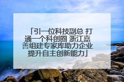 引一位科技副总 打通一个科创圈 浙江嘉善组建专家库助力企业提升自主创新能力