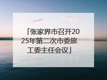 张家界市召开2025年第二次市委旅工委主任会议