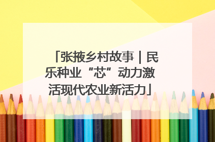 张掖乡村故事｜民乐种业“芯”动力激活现代农业新活力