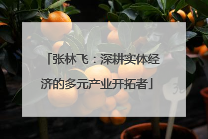 张林飞：深耕实体经济的多元产业开拓者