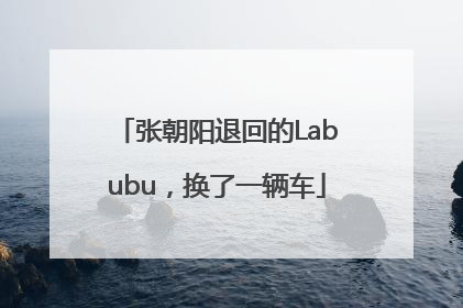 张朝阳退回的Labubu，换了一辆车
