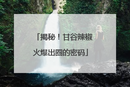 揭秘！甘谷辣椒火爆出圈的密码