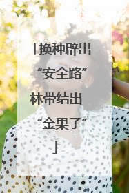 换种辟出“安全路” 林带结出“金果子”